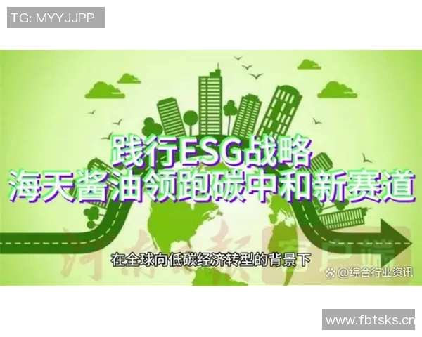 全球经济转型与可持续发展：新兴市场与发达国家的合作与挑战